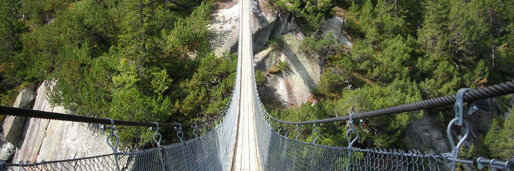 utilizzi vari utilizzi vari